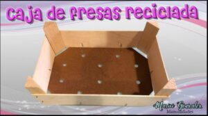 Cómo Reciclar una Caja de Fresas